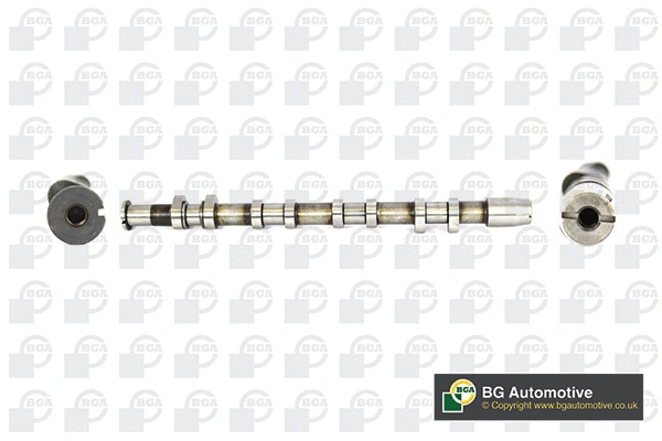 Camshaft (WG1490368)