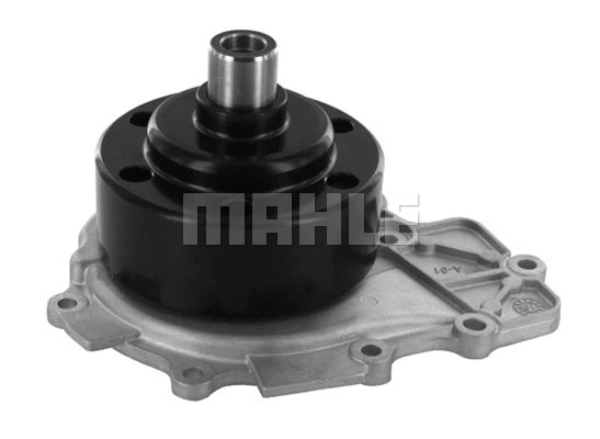 Water Pump, engine cooling (WG2182012)