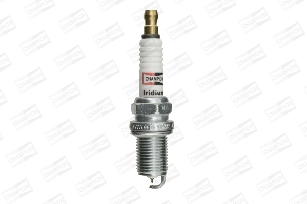 Spark Plug (WG2009573)