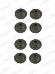 Seal Set, valve stem (WG1181344)