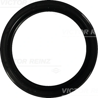 Shaft Seal, crankshaft (WG1250405)