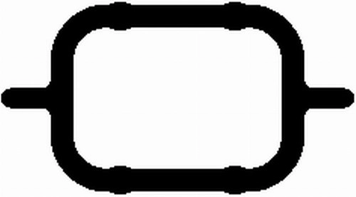 Gasket, intake manifold (WG1764225)