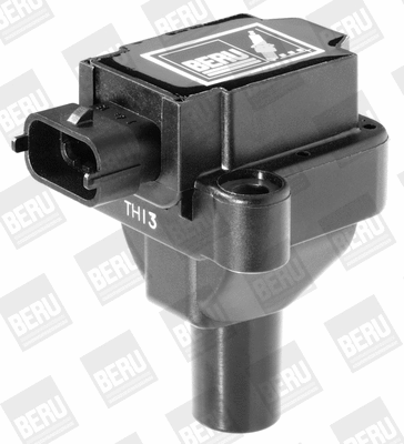 Ignition Coil (WG1487288)
