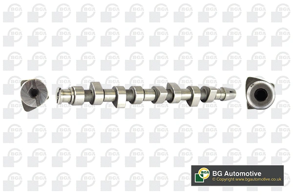 Camshaft (WG1490570)