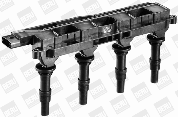 Ignition Coil (WG1487400)