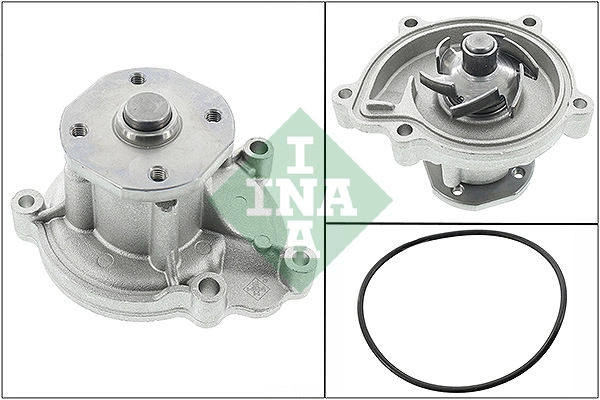 Water Pump, engine cooling (WG1903364)