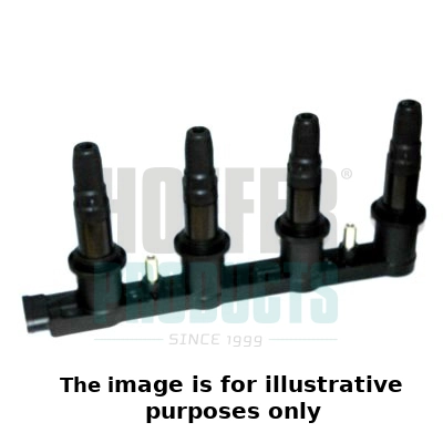 Ignition Coil (WG1902117)