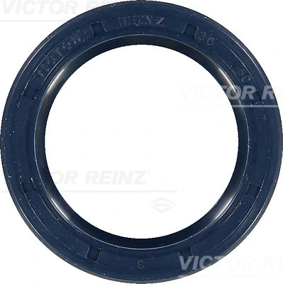 Shaft Seal, camshaft (WG1250010)