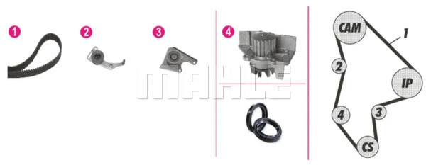 Water Pump & Timing Belt Kit (WG2182174)