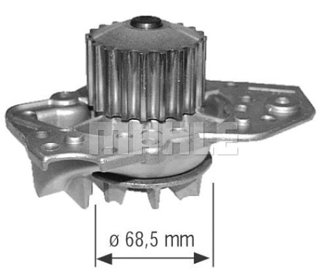 Water Pump, engine cooling (WG2181542)
