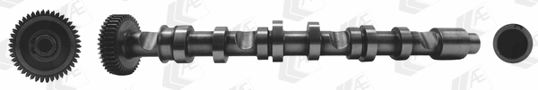 Camshaft (WG1807089)