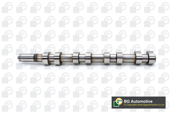 Camshaft (WG1892593)