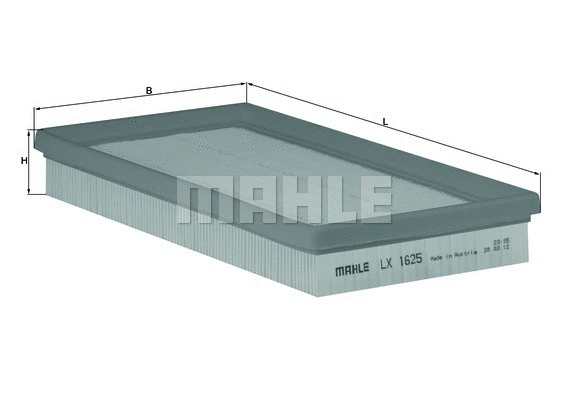 Air Filter (WG1215988)