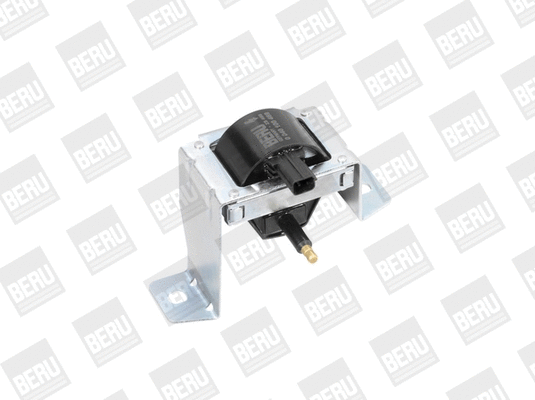 Ignition Coil (WG1487489)