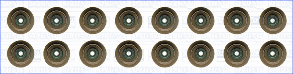 Seal Set, valve stem (WG1169945)