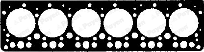 Gasket, cylinder head (WG1460572)