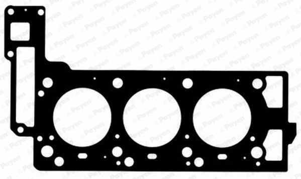 Gasket, cylinder head (WG1177803)