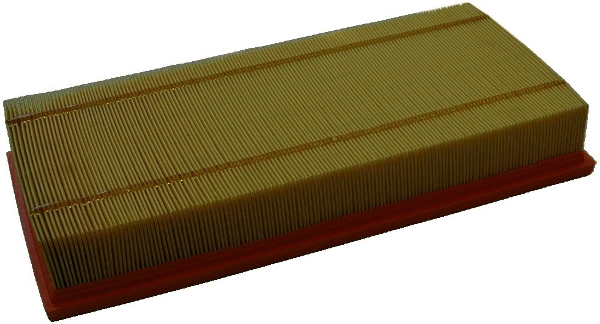 Air Filter (WG1747467)