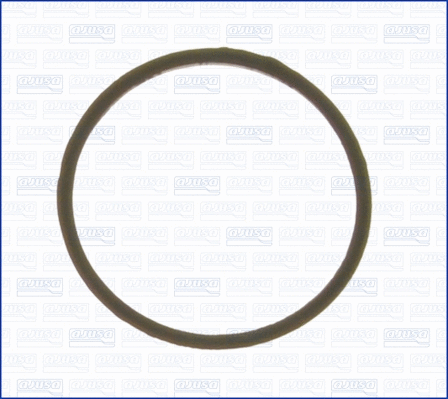 Seal, thermostat (WG1158267)