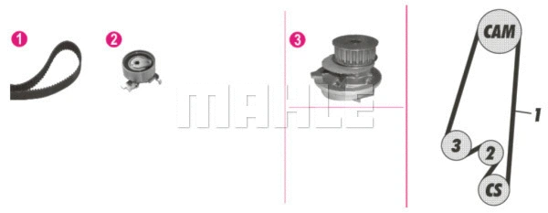 Water Pump & Timing Belt Kit (WG2182199)