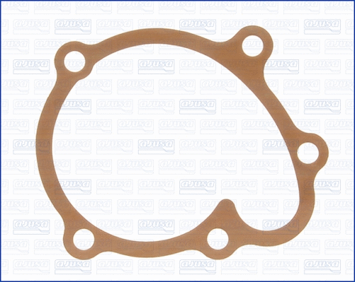 Gasket, water pump (WG1751192)