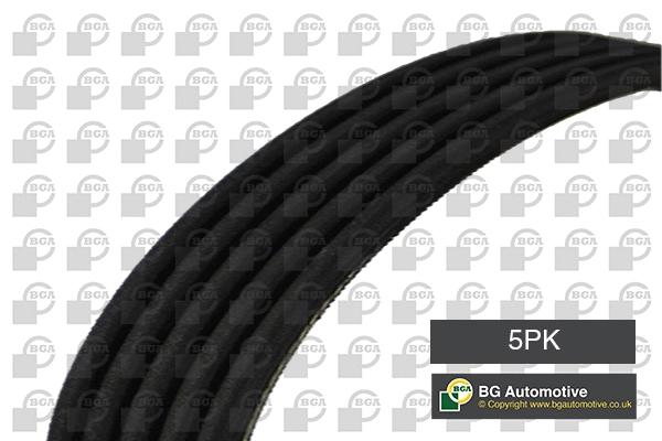 V-Ribbed Belt (WG1906999)