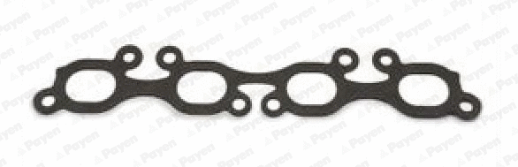 Gasket, exhaust manifold (WG1177046)