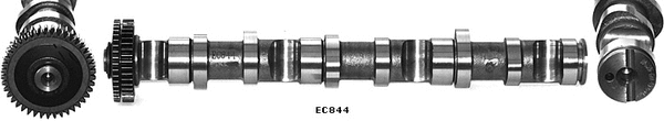 Camshaft (WG1051702)
