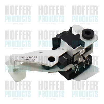 Alternator Regulator (WG2262631)