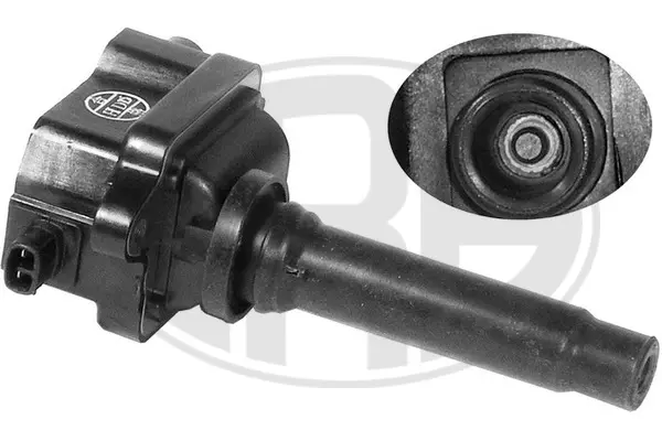 Ignition Coil (WG1496907)