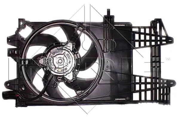 Fan, engine cooling (WG1720223)