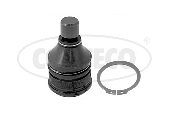 Ball Joint (WG2289868)