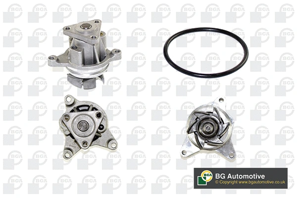 Water Pump, engine cooling (WG1489125)