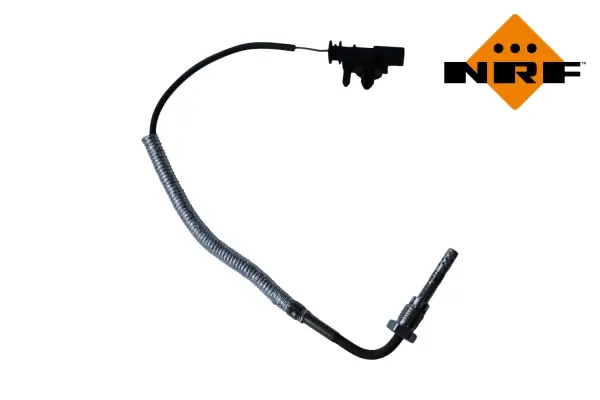 Sensor, exhaust gas temperature (WG2195675)