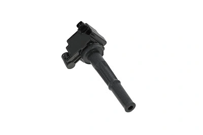 Ignition Coil (WG1487491)