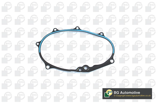 Gasket, timing case (WG1938284)