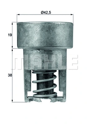 Thermostat, coolant (WG1218023)