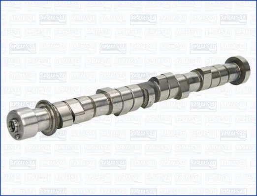 Camshaft (WG1170796)