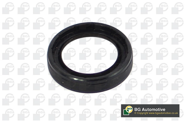 Shaft Seal, camshaft (WG1766478)