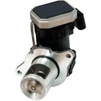 EGR Valve (WG1408715)