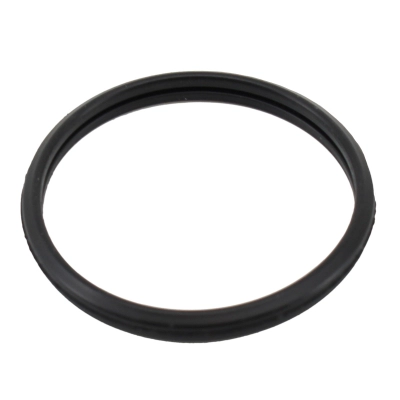 Seal, thermostat (WG2193967)