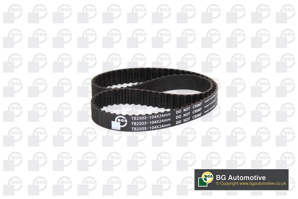 Timing Belt (WG2258634)