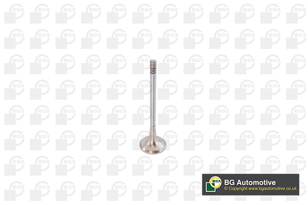 Exhaust Valve (WG1491240)