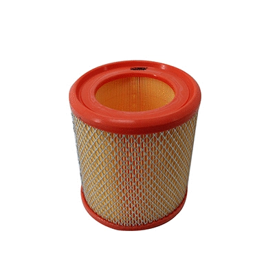 Air Filter (WG2152063)