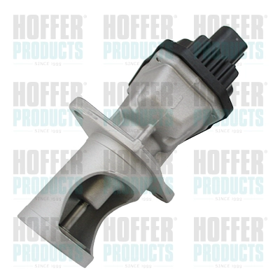 EGR Valve (WG1893407)