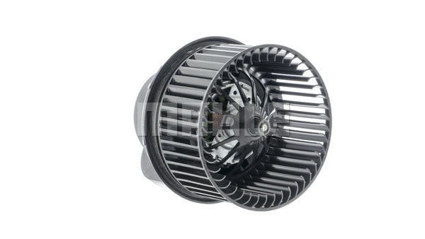 Interior Blower