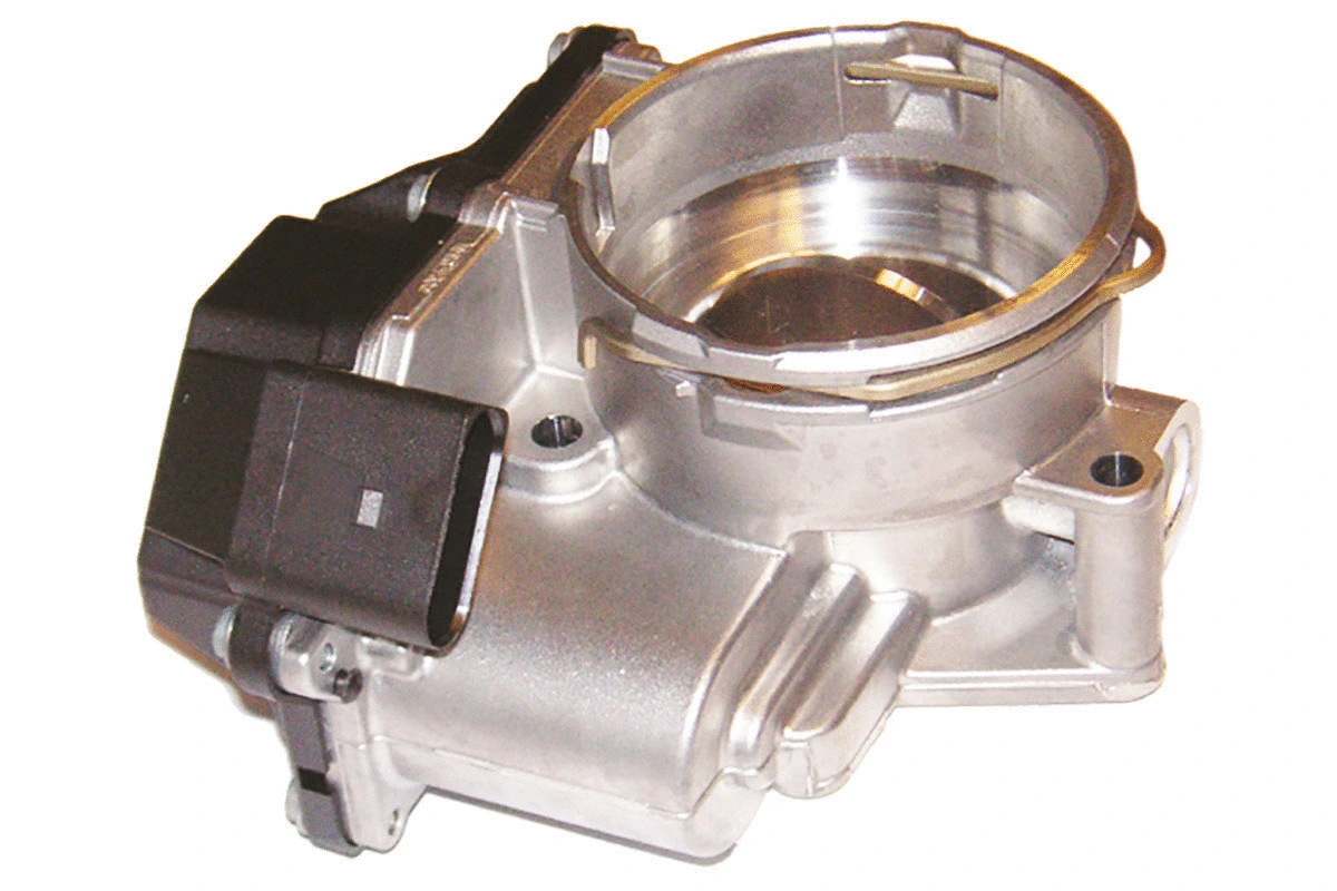 Throttle Body (WG1032870)