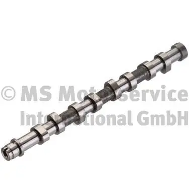 Camshaft (WG1380608)