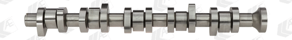 Camshaft (WG1171975)