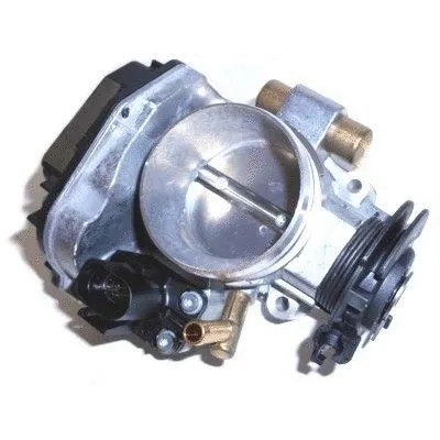 Throttle Body (WG1408813)